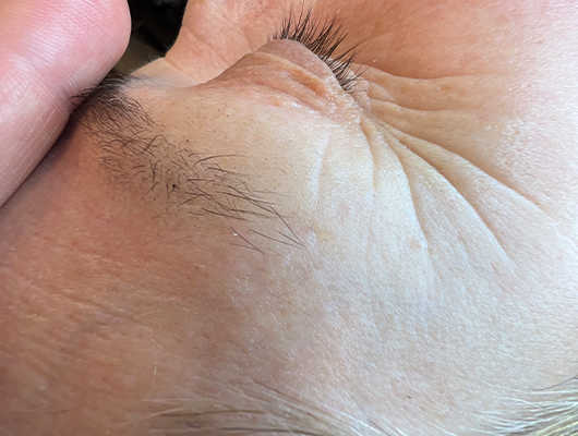 Untitled-1-Recovered-Recovered-Recovered-Recoveredsdfgew