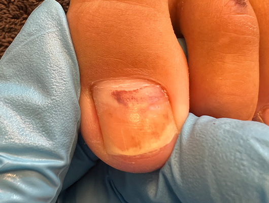 Untitled-1-Recovered-Recovered-Recoveredadsf