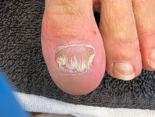 Untitled-1-Recovered-Recovered-Recoveredfghj